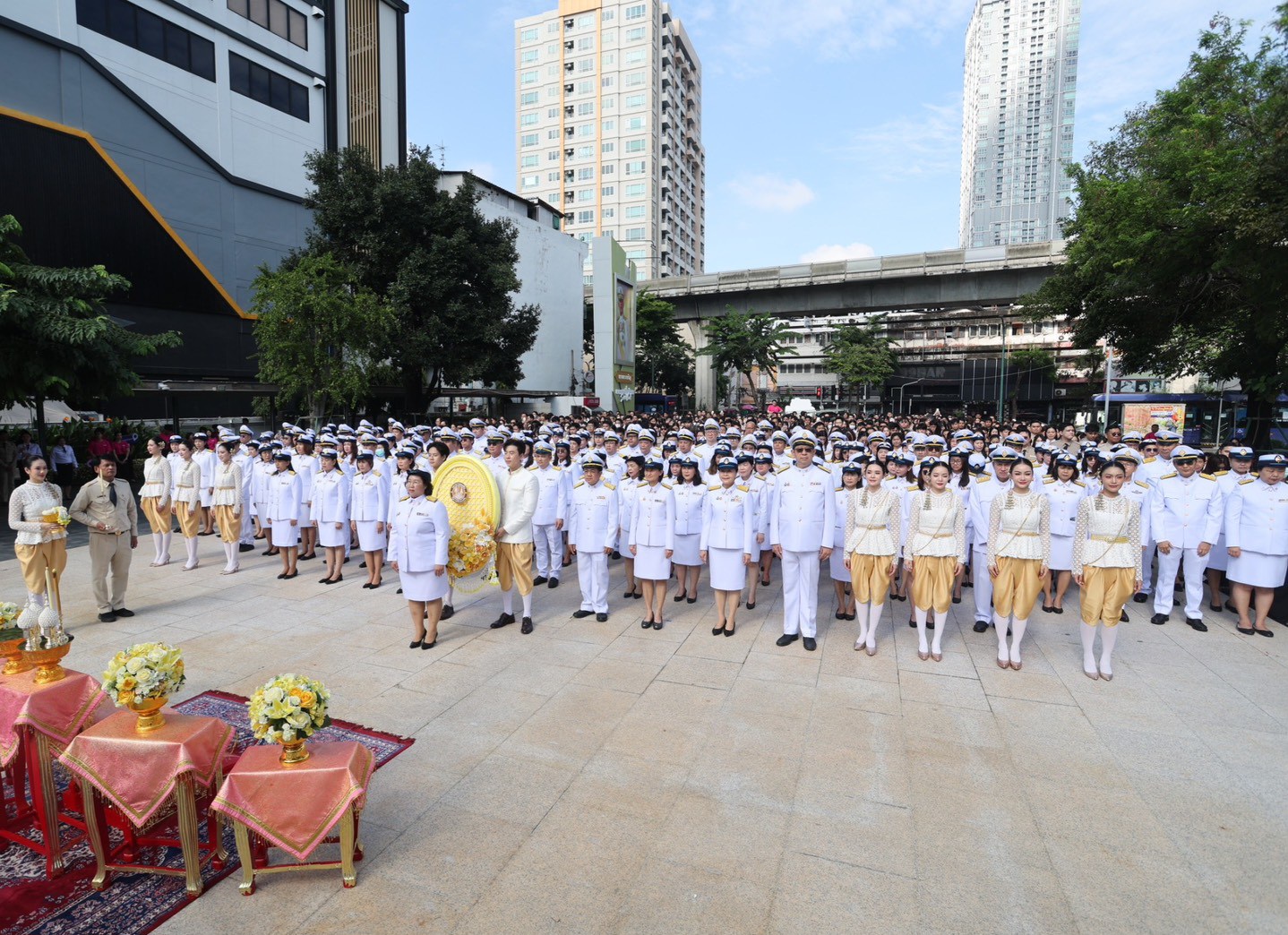 IMAGE - 10149